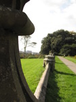 SX09867 Spiderweb on ornament of garden wall in Margam Castle wall.jpg